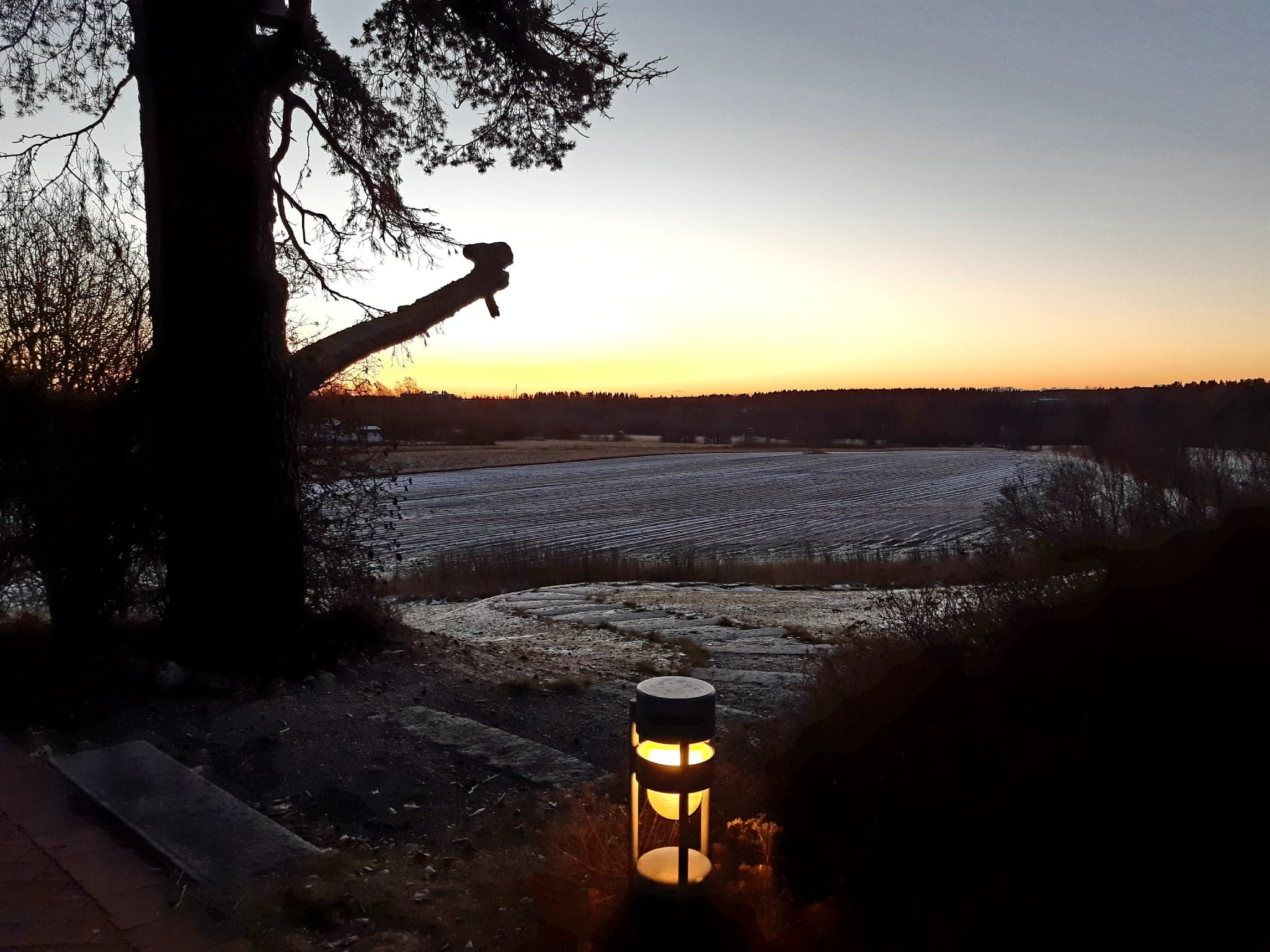 Novemberljus